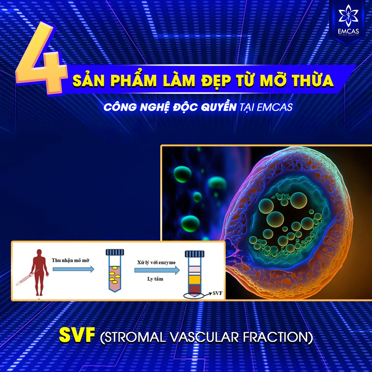 4 Sản Phẩm Làm Đẹp Từ Mỡ