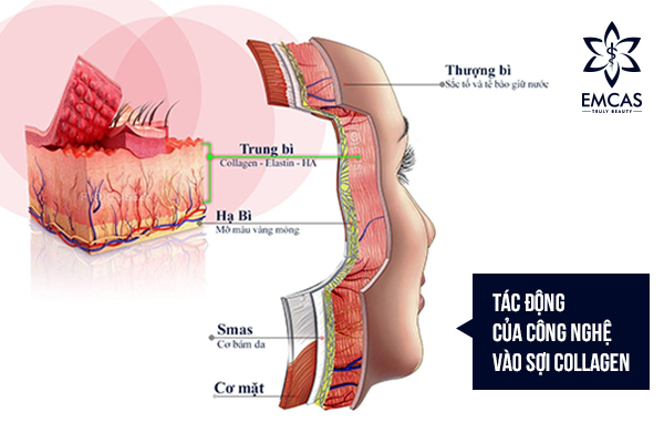 Làm Đẹp Da Mùa Tết
