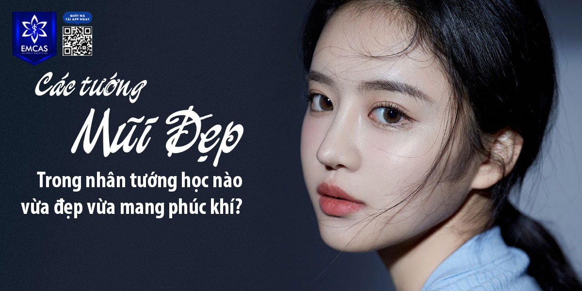 CÁC TƯỚNG MŨI ĐẸP TRONG NHÂN TƯỚNG HỌC HỘI TỤ PHÚC KHÍ?
