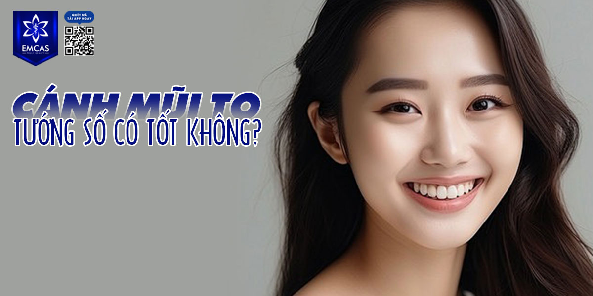 CÁNH MŨI TO CÓ ĐẶC ĐIỂM GÌ? VẬN MỆNH NGƯỜI CÓ CÁNH MŨI TO