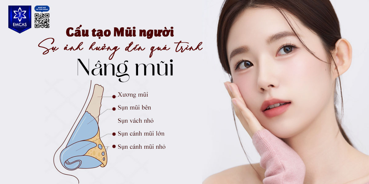 CẤU TẠO MŨI NGƯỜI: SỰ ẢNH HƯỞNG ĐẾN QUÁ TRÌNH NÂNG MŨI