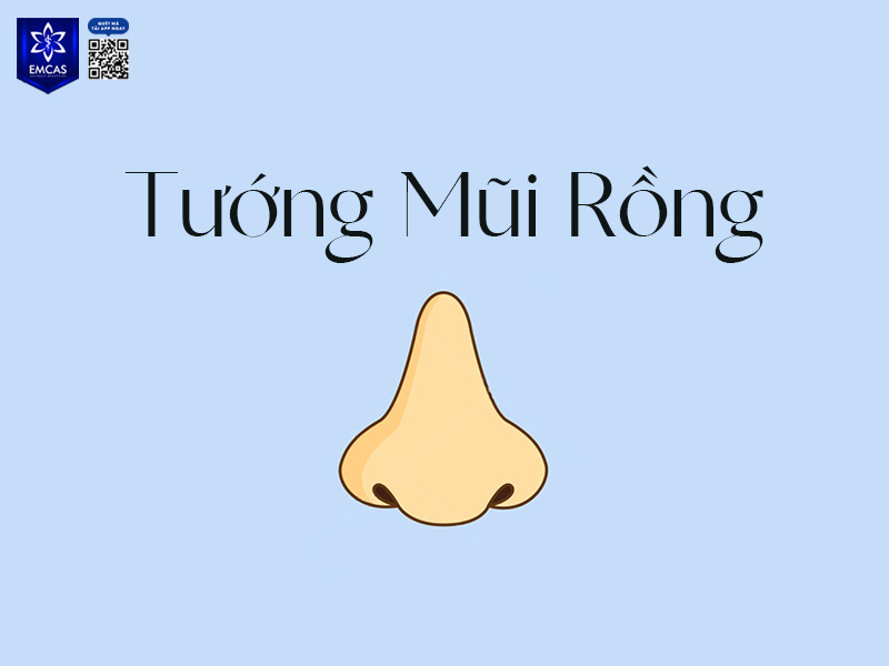 Mũi rồng là một trong những dáng mũi phong thủy được đánh giá cao với đặc điểm như sống mũi thẳng, đầu mũi tròn, đầy đặn, cánh mũi to, dày