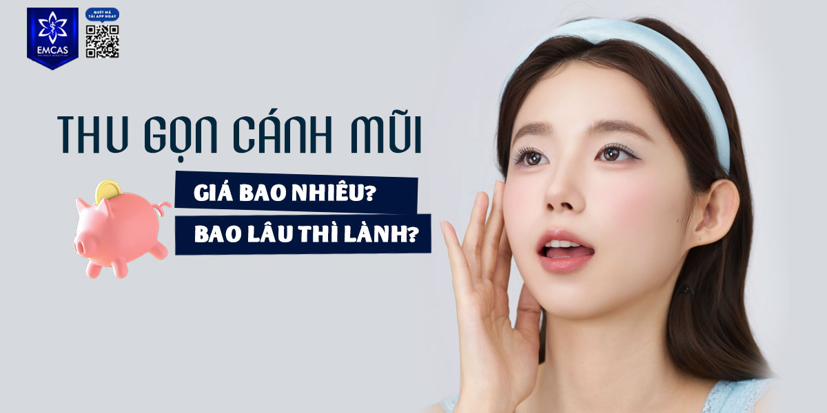 THU GỌN CÁNH MŨI GIÁ BAO NHIÊU?