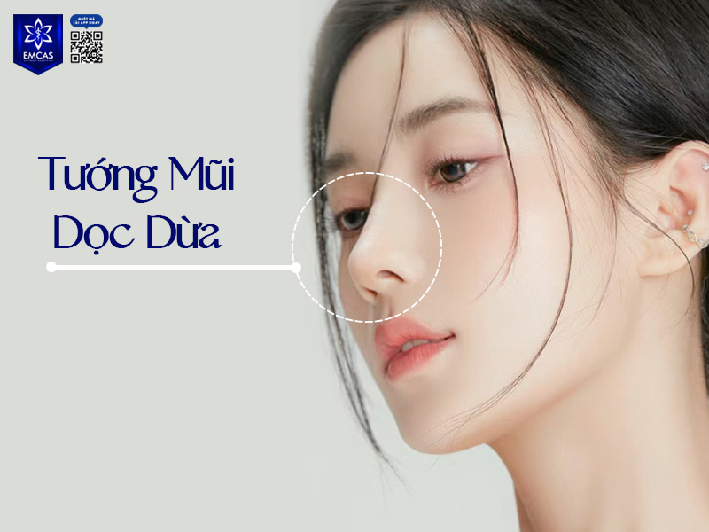 Tướng mũi dọc dừa có đặc điểm sống mũi cao, thẳng, đầu mũi tròn mềm mại, tạo nên sự thanh thoát và hài hòa cho khuôn mặt
