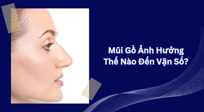 Mũi Gồ Ảnh Hưởng Thế Nào Đến Vận Số?
