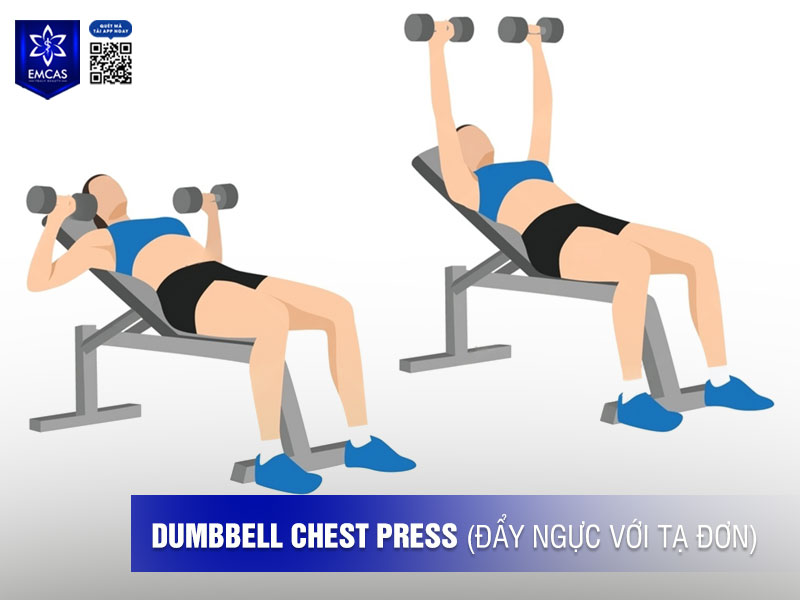 Chest Press là bài tập nền tảng trong nhóm những bài tập giúp tăng vòng 1 vì giúp phát triển sức mạnh và độ săn chắc toàn bộ cơ ngực.