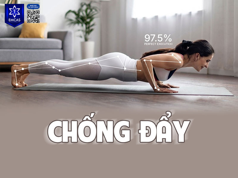 Các bài tập tác động vào cơ ngực như chống đẩy, plank hoặc tập tạ nhẹ có thể giúp phát triển nhóm cơ ngực (pectoralis) nằm dưới mô vú.