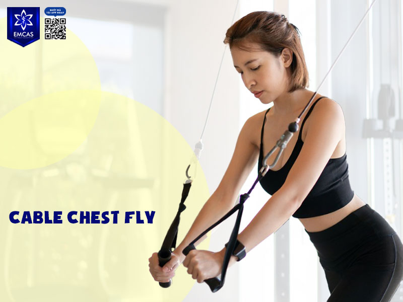 Cable Chest Fly sử dụng hệ thống dây cáp giúp cơ ngực luôn duy trì trạng thái căng liên tục trong suốt chuyển động.