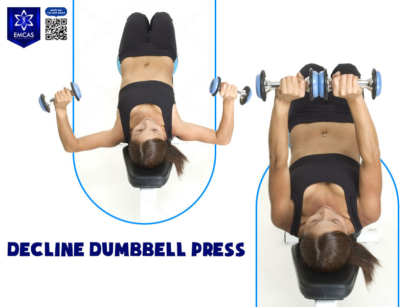 Decline Dumbbell Press là một trong những bài tập gym tăng vòng 1 tác động nhiều vào vùng ngực dưới, hỗ trợ tạo đường cong và độ đầy phía dưới bầu ngực.