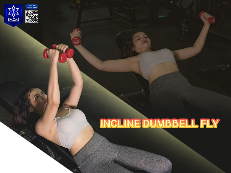 Incline Dumbbell Fly là biến thể fly trên ghế nghiêng, tác động nhiều vào phần ngực trên và hỗ trợ định hình form vòng 1 tự nhiên hơn.