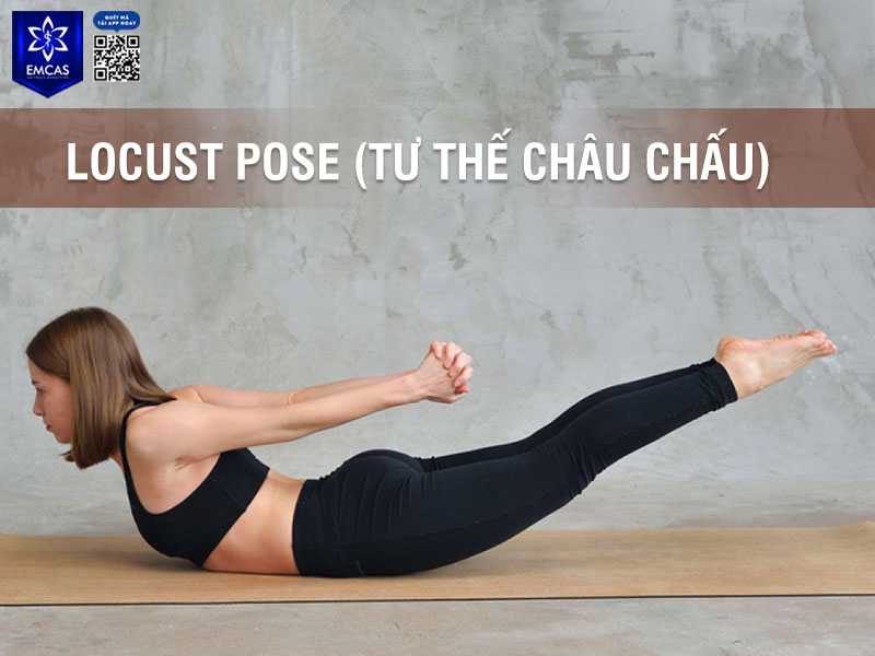 Locust Pose là tư thế yoga nằm sấp giúp tăng cường sức mạnh cơ lưng, mông và đùi sau, đồng thời mở rộng ngực và cải thiện tiêu hóa.