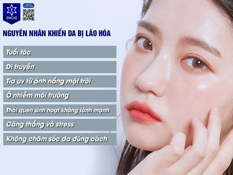 Cách Phòng Ngừa Và Điều Trị Lão Hóa Da Hiệu Quả